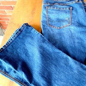 TORRID Source of Wisdom Dark wash jeans (flared)